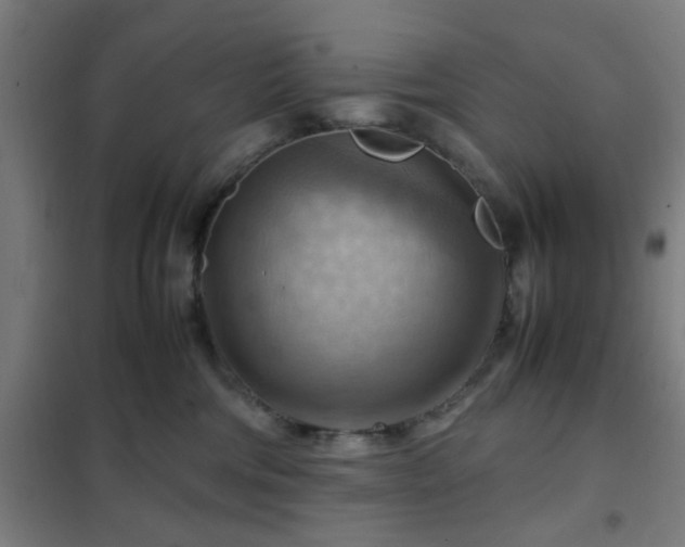 X0000102010330200807251314