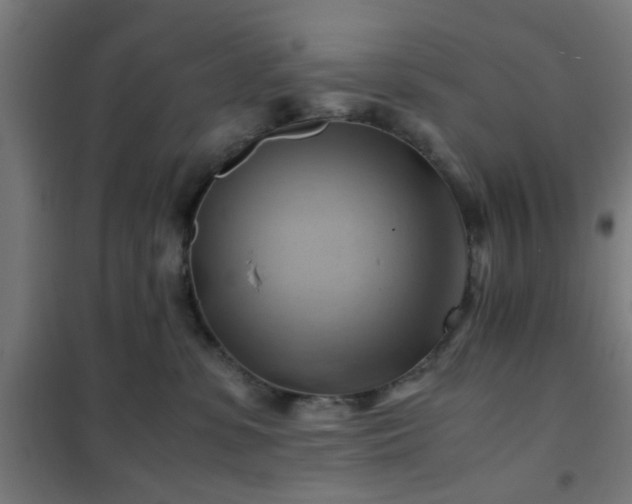 X0000102010331200807251314