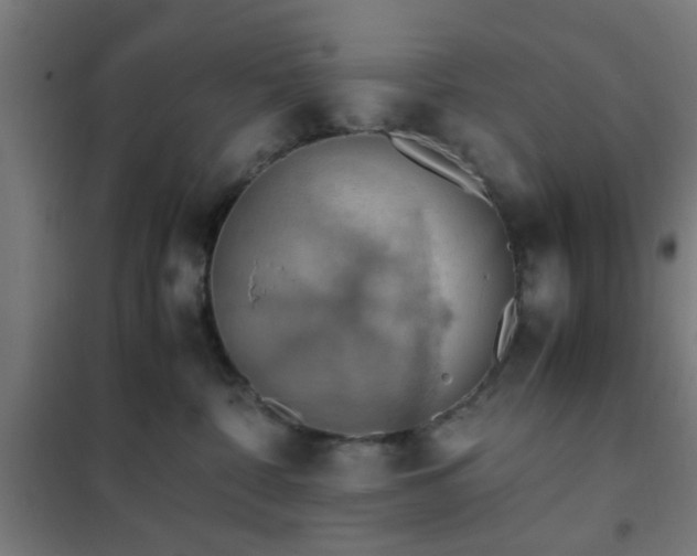 X0000102010332200807251314