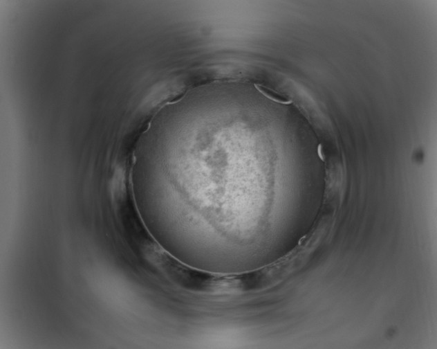 X0000102010333200807251314