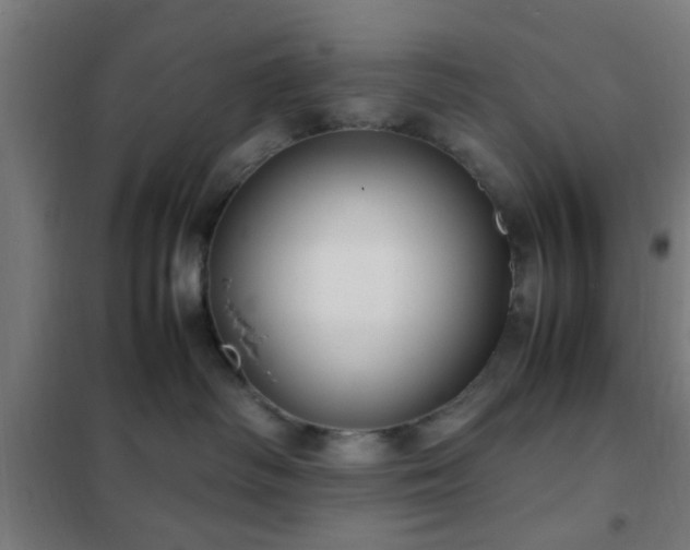X0000102010334200807251314