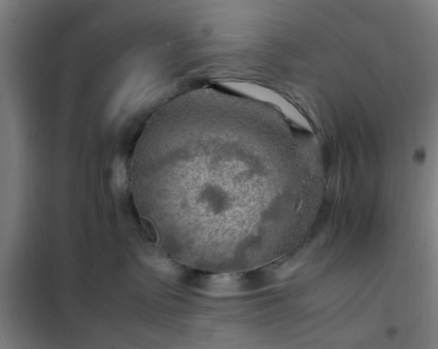 X0000102010335200807251314