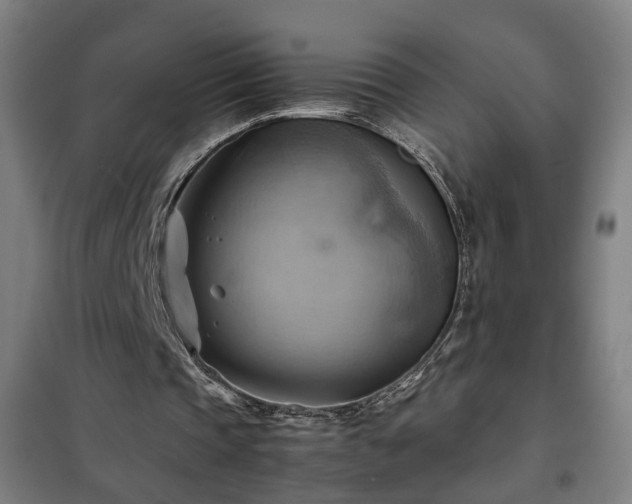 X0000102010337200807251314