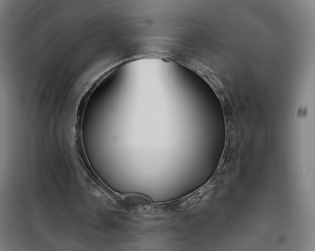 X0000102010338200807251314