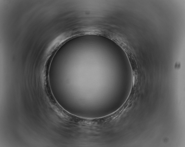 X0000102010339200807251314