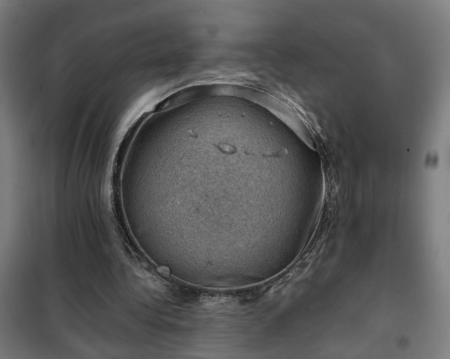 X0000102010340200807251314