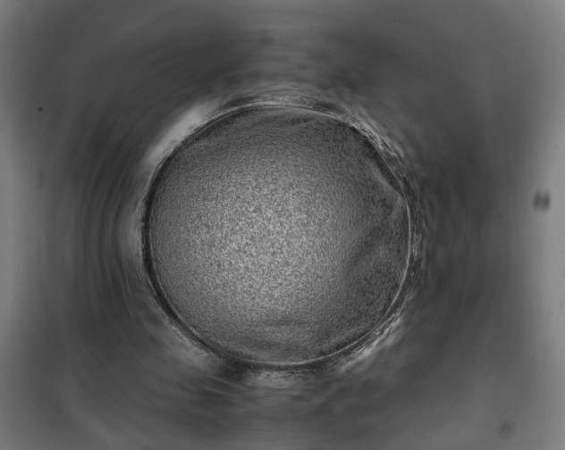 X0000102010341200807251314