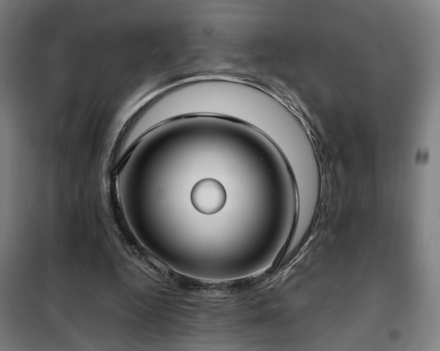 X0000102010344200807251314