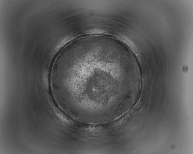 X0000102010345200807251314