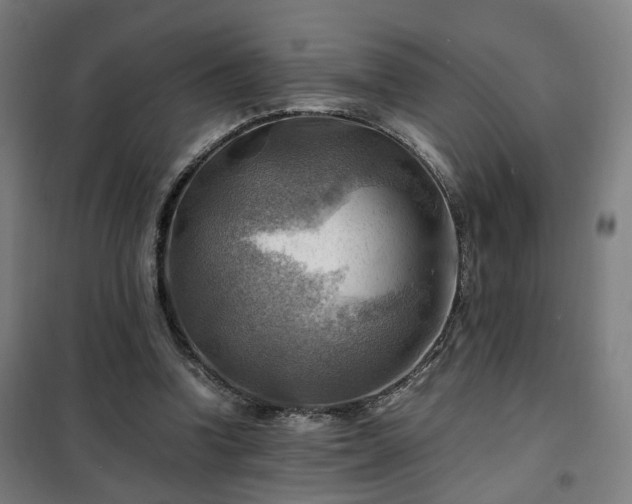 X0000102010346200807251314