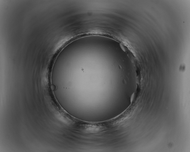 X0000102010347200807251314