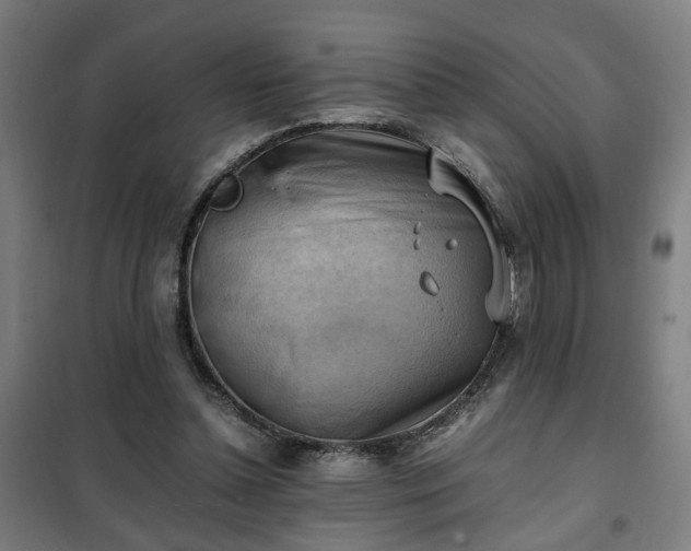 X0000102010348200807251314