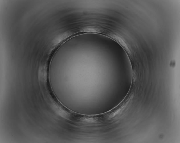 X0000102010349200807251314