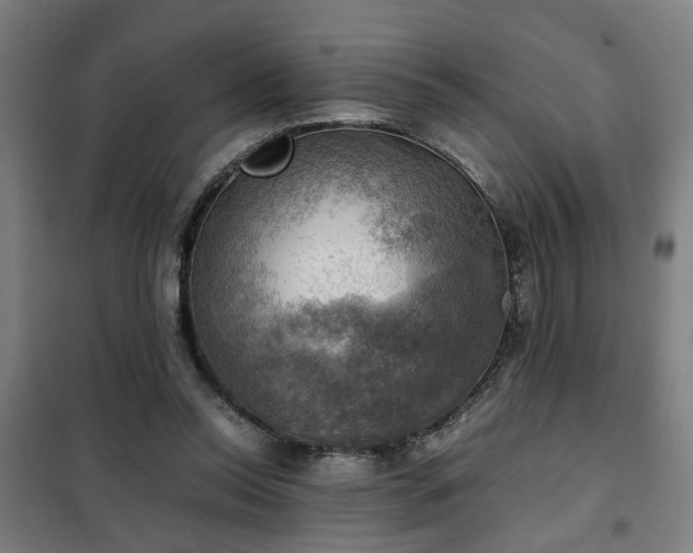 X0000102010350200807251314