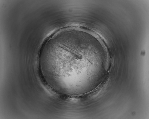 X0000102010352200807251314