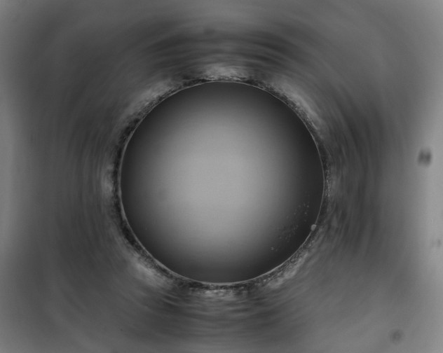 X0000102010353200807251314