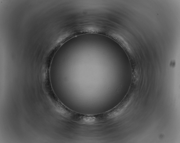 X0000102010355200807251314