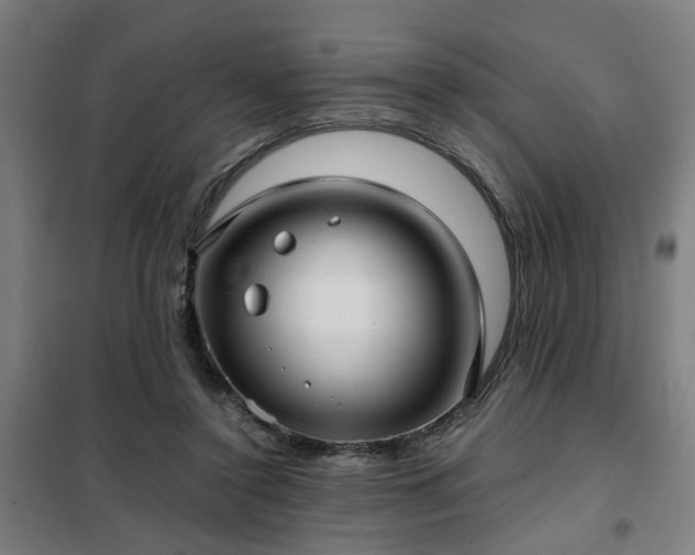 X0000102010356200807251314