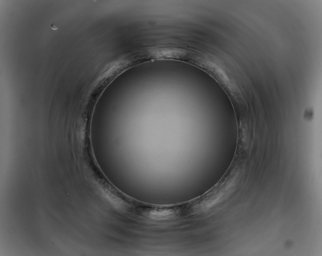 X0000102010357200807251314