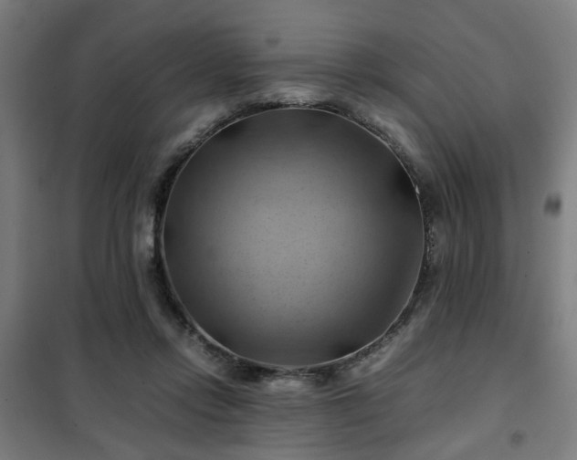 X0000102010358200807251314