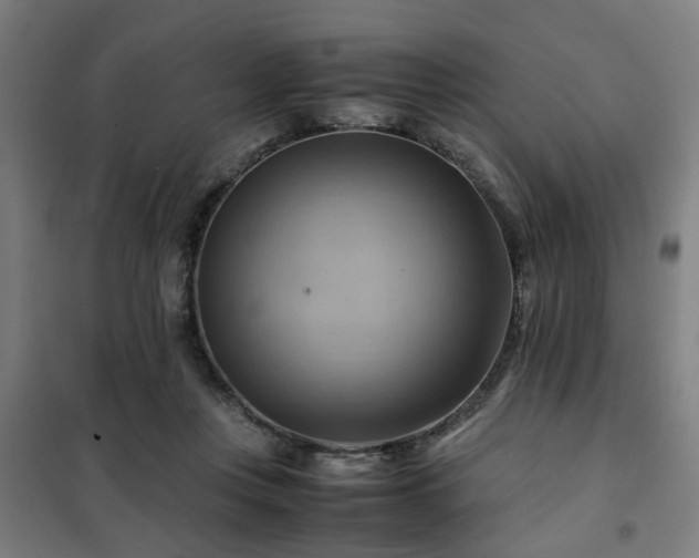 X0000102010359200807251314