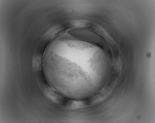 X0000102010360200807251314