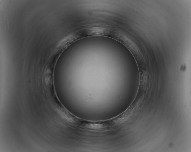 X0000102010361200807251314