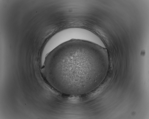 X0000102010362200807251314