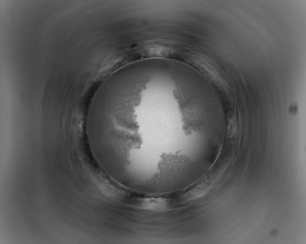 X0000102010363200807251314