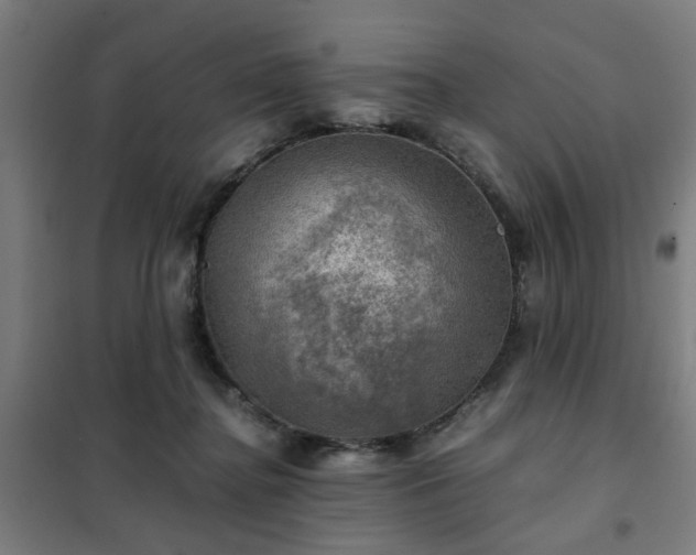 X0000102010364200807251314