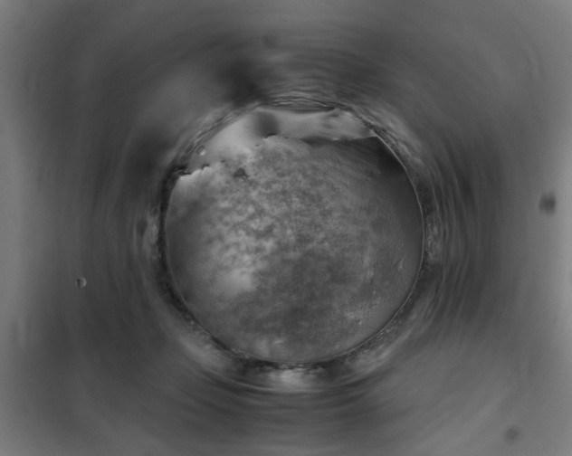 X0000102010365200807251314
