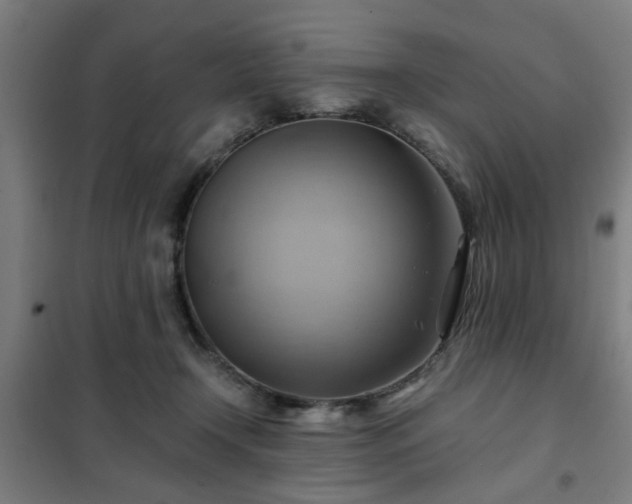 X0000102010366200807251314