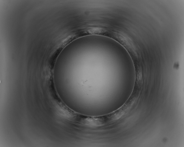 X0000102010367200807251314