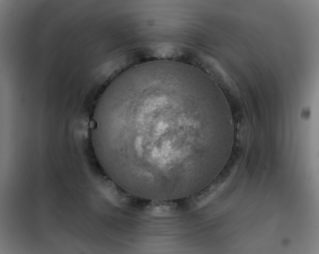 X0000102010368200807251314