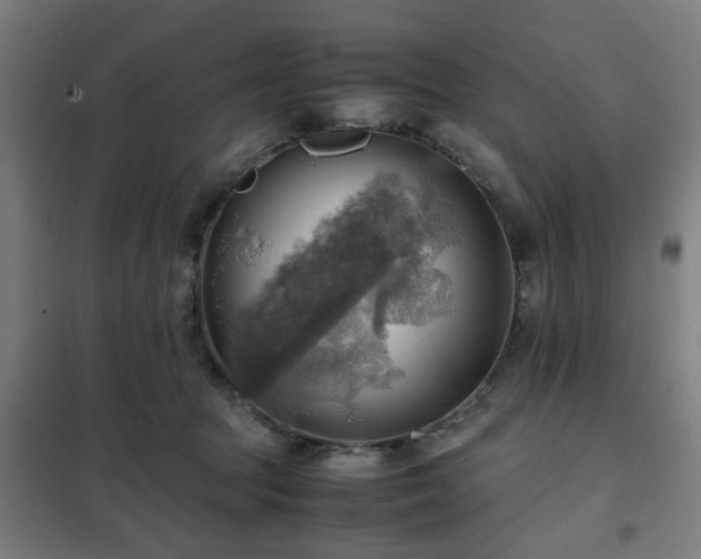 X0000102010369200807251314