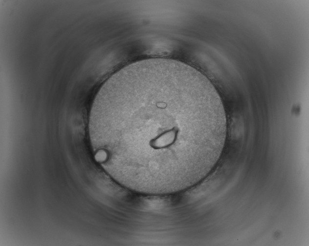 X0000102010370200807251314