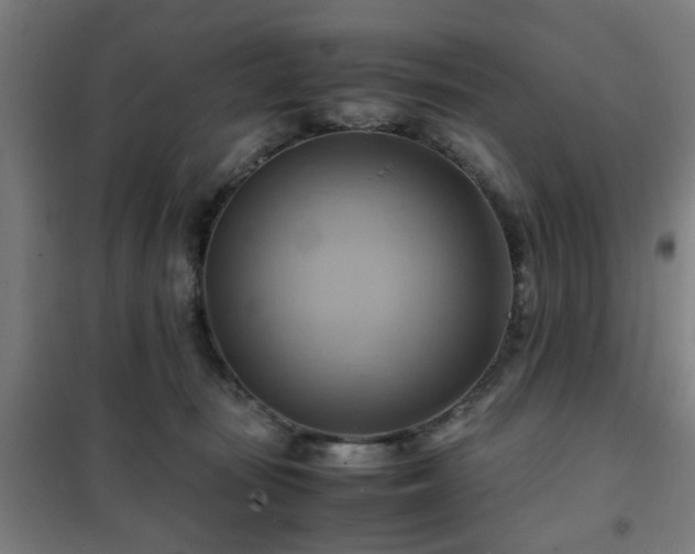 X0000102010371200807251314