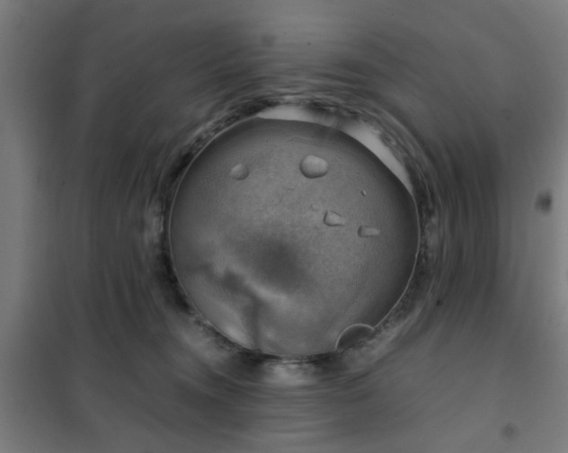 X0000102010372200807251314