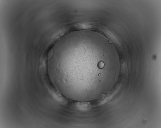 X0000102010373200807251314