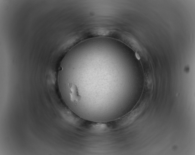 X0000102010374200807251314