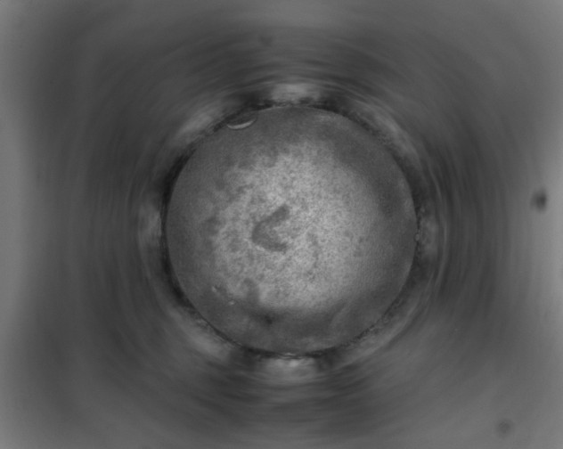 X0000102010375200807251314