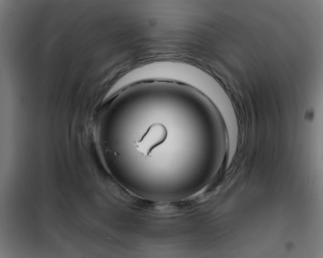 X0000102010376200807251314
