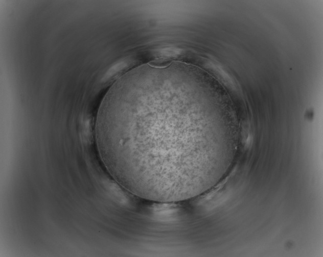 X0000102010378200807251314