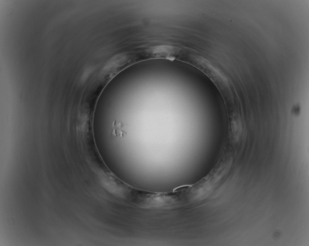 X0000102010379200807251314