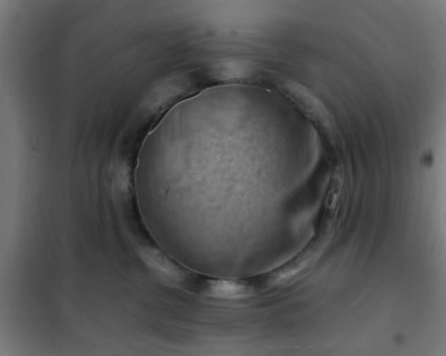 X0000102010380200807251314