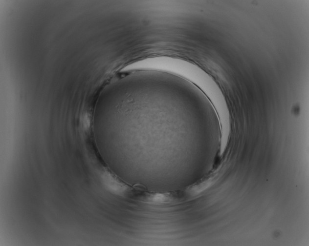 X0000102010382200807251314