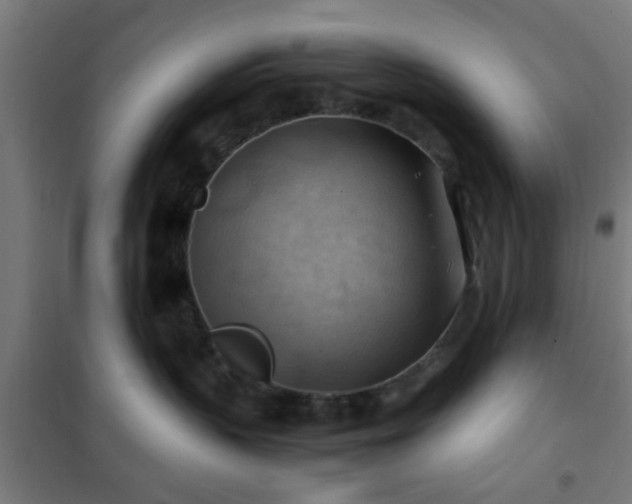 X0000102010383200807251314