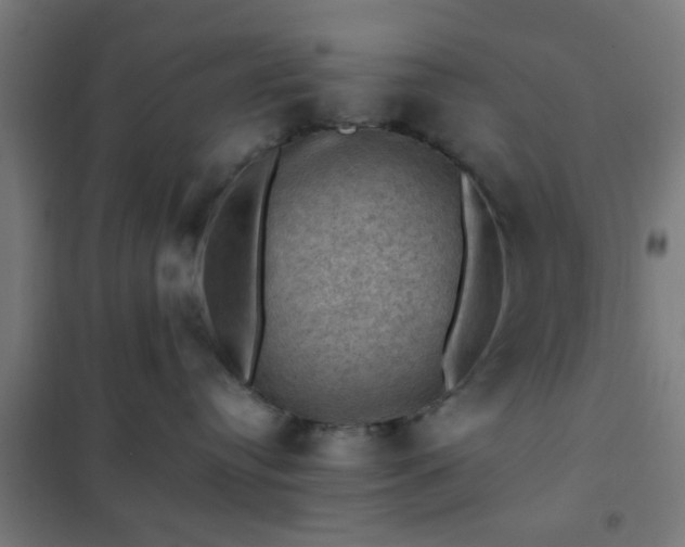 X0000102010384200807251314