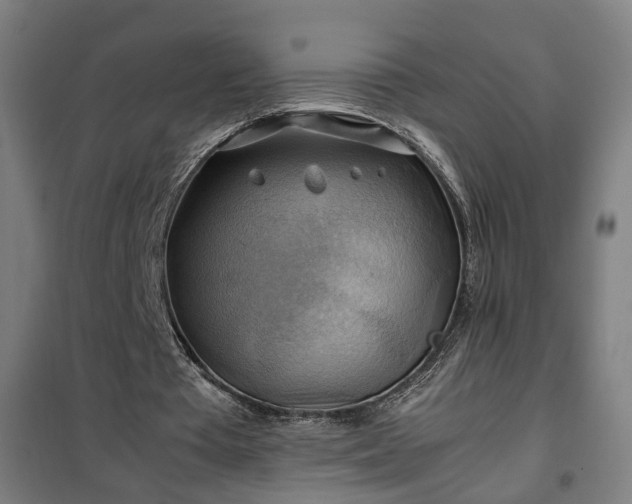 X0000102010385200807251314