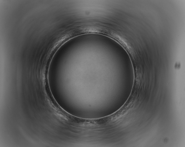 X0000102010386200807251314